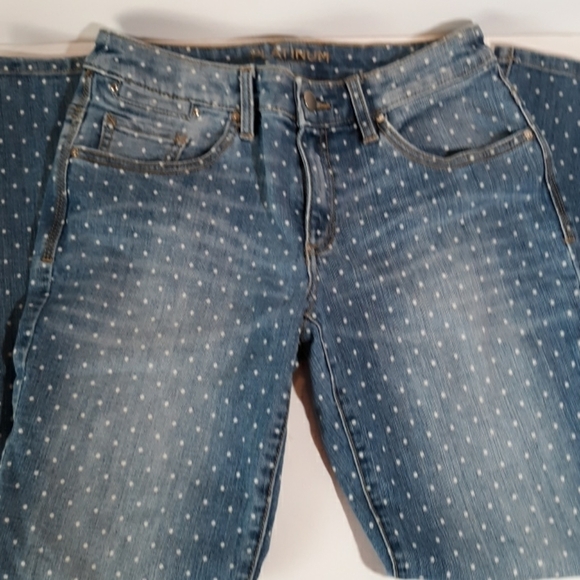 Chincos Platinum Skimmer 000 - Picture 2 of 3